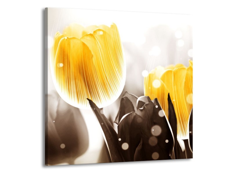 Canvas schilderij Tulp | Geel, Grijs | 70x70cm 1Luik