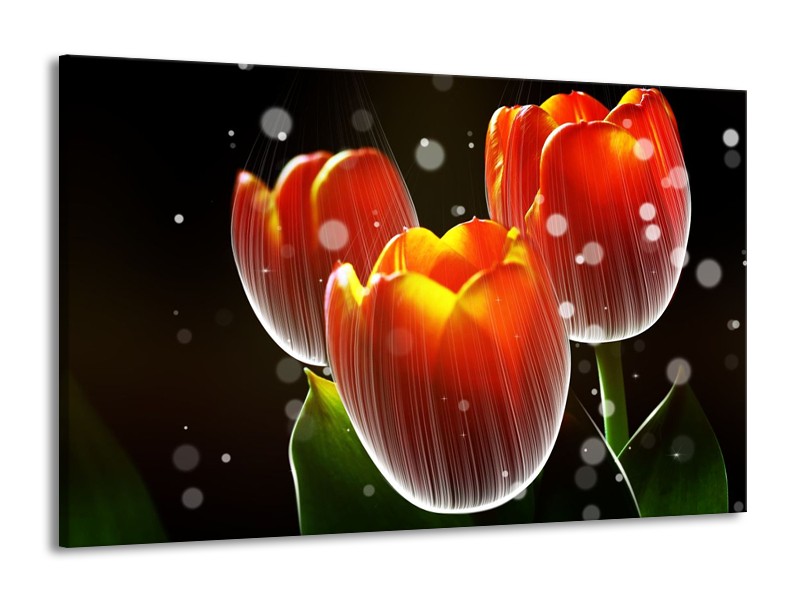 Glas schilderij Tulp | Rood, Geel, Zwart | 140x90cm 1Luik