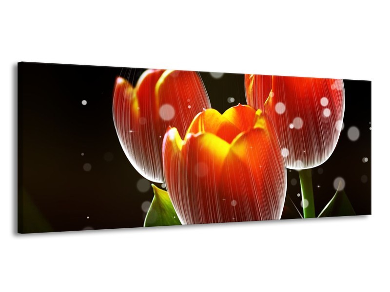 Glas schilderij Tulp | Rood, Geel, Zwart | 145x58cm 1Luik