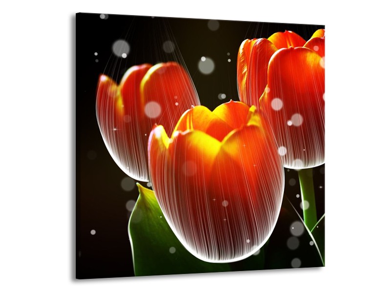 Glas schilderij Tulp | Rood, Geel, Zwart | 70x70cm 1Luik