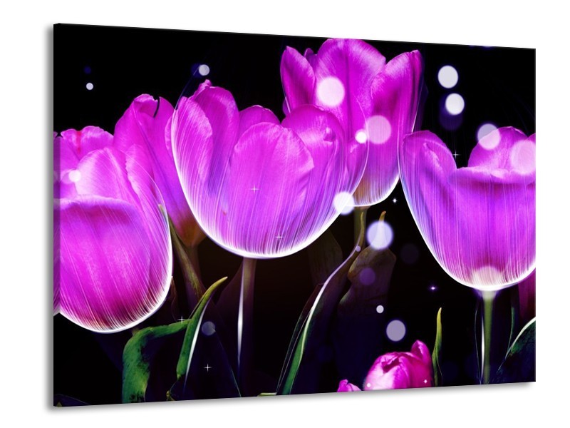 Canvas schilderij Tulp | Paars, Zwart | 100x70cm 1Luik