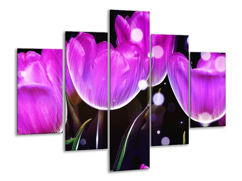 Canvas schilderij Tulp | Paars, Zwart | 100x70cm 5Luik