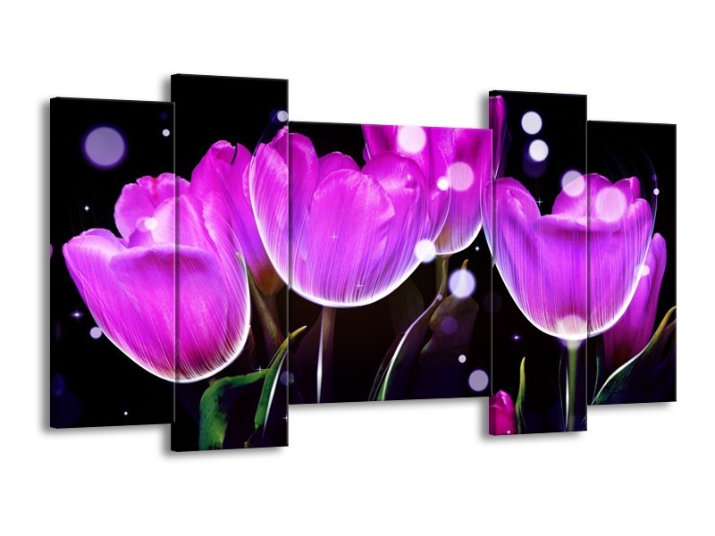 Canvas schilderij Tulp | Paars, Zwart | 120x65 5Luik
