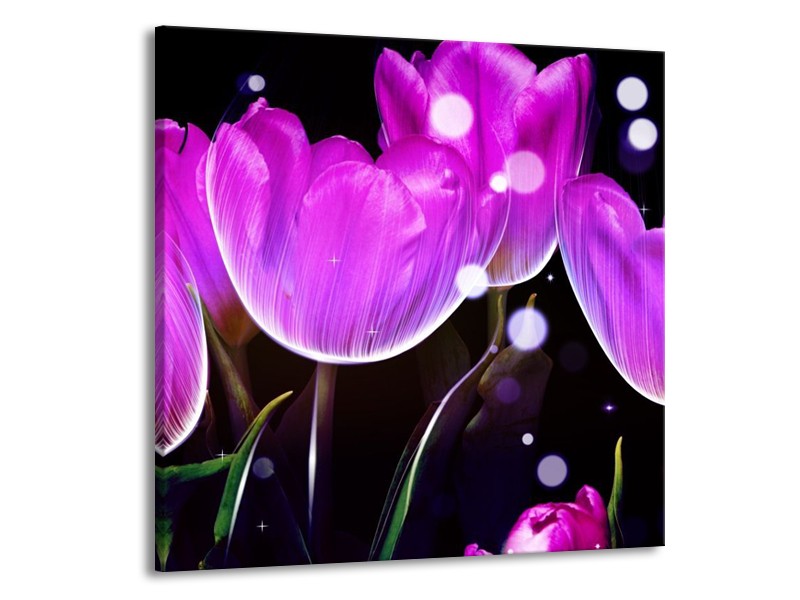 Canvas schilderij Tulp | Paars, Zwart | 50x50cm 1Luik