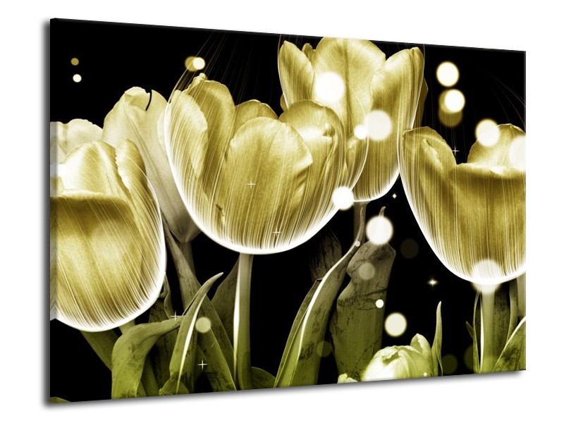 Canvas schilderij Tulp | Goud, Zwart | 70x50cm 1Luik