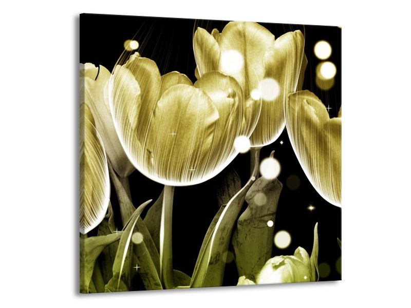 Canvas schilderij Tulp | Goud, Zwart | 70x70cm 1Luik
