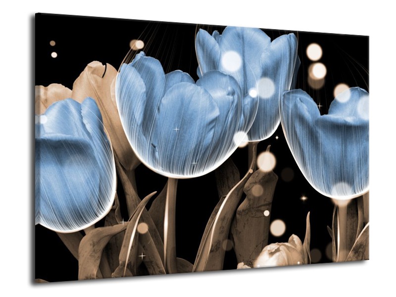 Canvas schilderij Tulp | Blauw, Grijs, Zwart | 70x50cm 1Luik