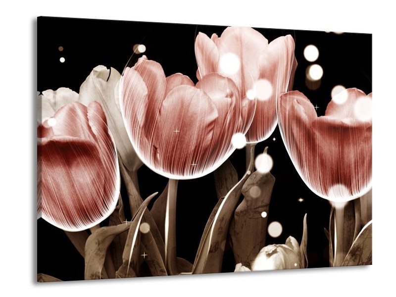 Canvas schilderij Tulp | Bruin, Zwart | 100x70cm 1Luik