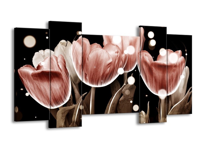 Canvas schilderij Tulp | Bruin, Zwart | 120x65 5Luik