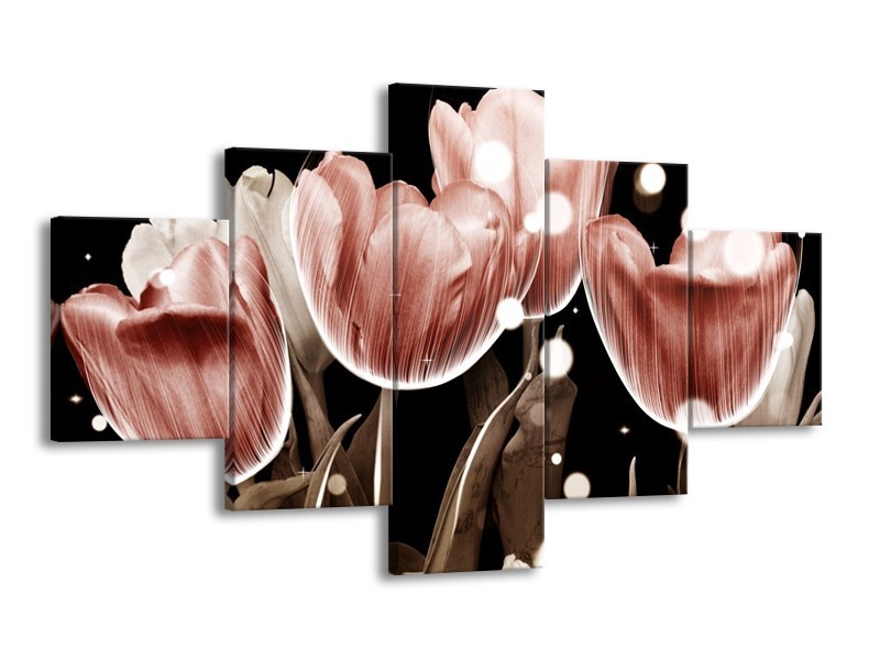 Canvas schilderij Tulp | Bruin, Zwart | 125x70cm 5Luik