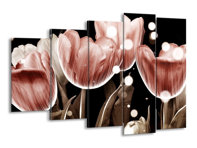 Canvas schilderij Tulp | Bruin, Zwart | 150x100cm 5Luik