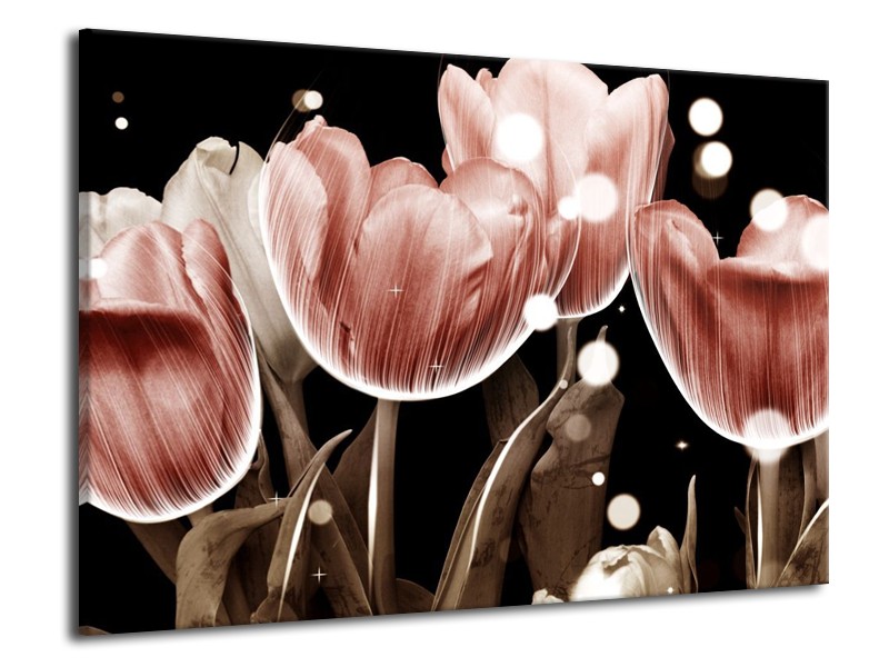 Canvas schilderij Tulp | Bruin, Zwart | 70x50cm 1Luik