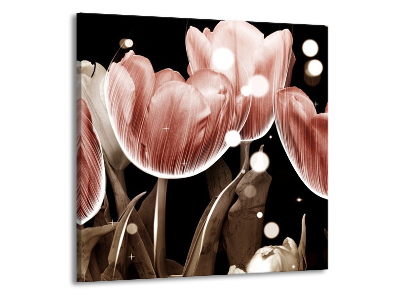 Canvas schilderij Tulp | Bruin, Zwart | 70x70cm 1Luik