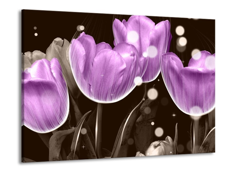 Canvas schilderij Tulp | Paars, Grijs | 100x70cm 1Luik