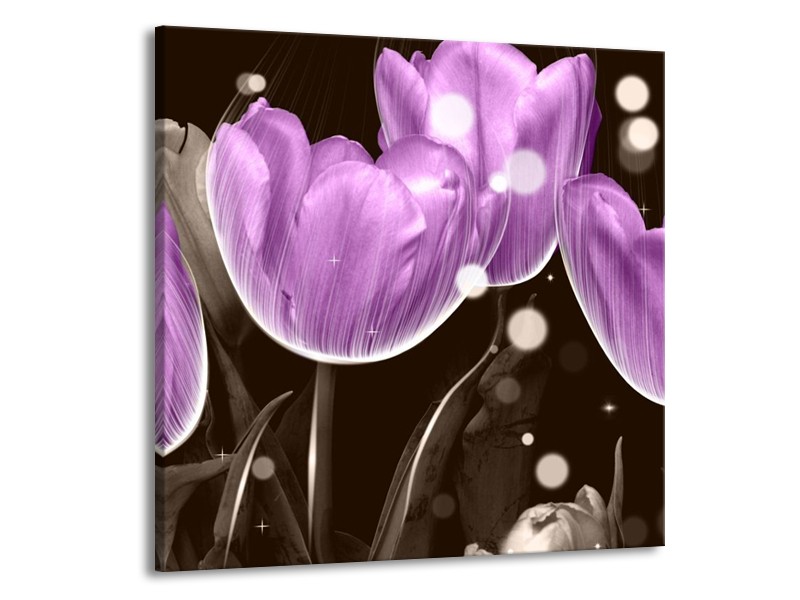 Canvas schilderij Tulp | Paars, Grijs | 50x50cm 1Luik