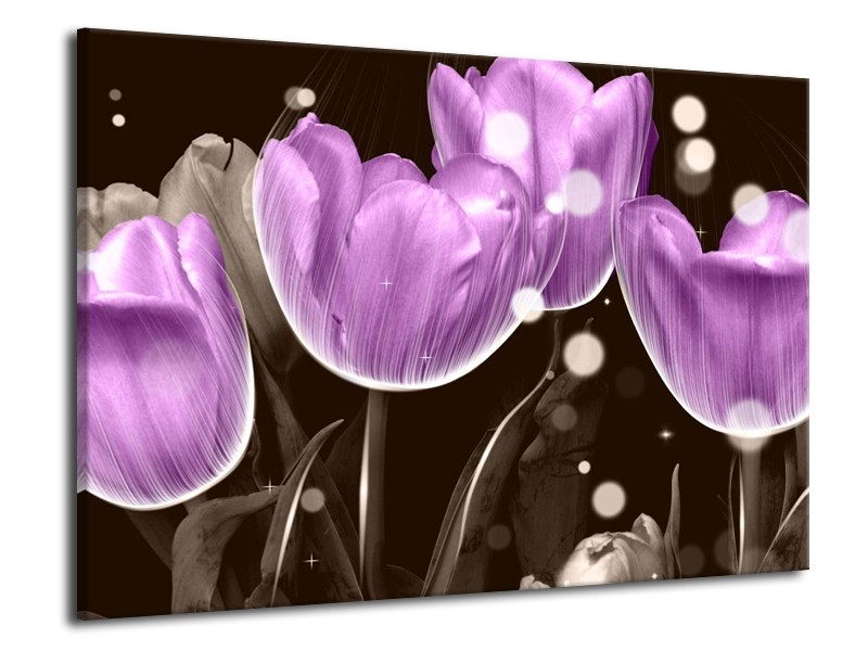 Canvas schilderij Tulp | Paars, Grijs | 70x50cm 1Luik