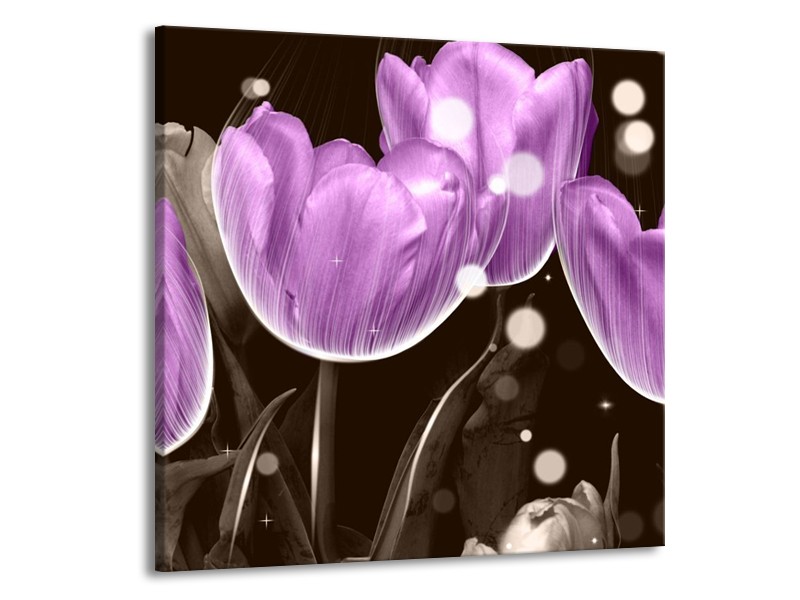 Canvas schilderij Tulp | Paars, Grijs | 70x70cm 1Luik