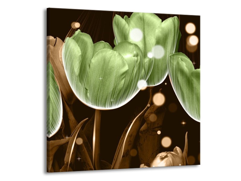 Canvas schilderij Tulp | Groen, Bruin | 50x50cm 1Luik