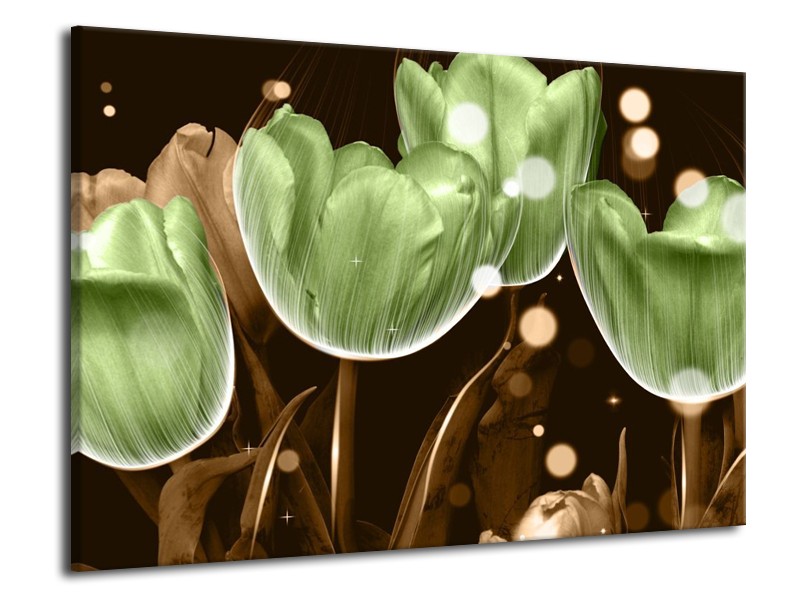 Canvas schilderij Tulp | Groen, Bruin | 70x50cm 1Luik