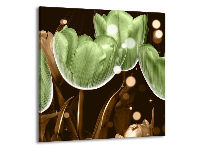 Canvas schilderij Tulp | Groen, Bruin | 70x70cm 1Luik