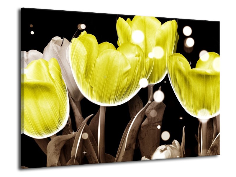 Canvas schilderij Tulp | Geel, Grijs | 70x50cm 1Luik