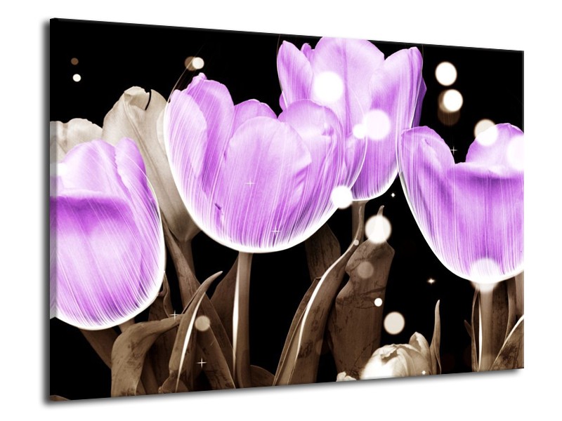 Canvas schilderij Tulp | Paars, Grijs | 70x50cm 1Luik