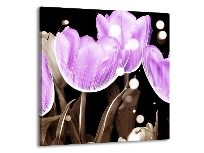 Canvas schilderij Tulp | Paars, Grijs | 70x70cm 1Luik