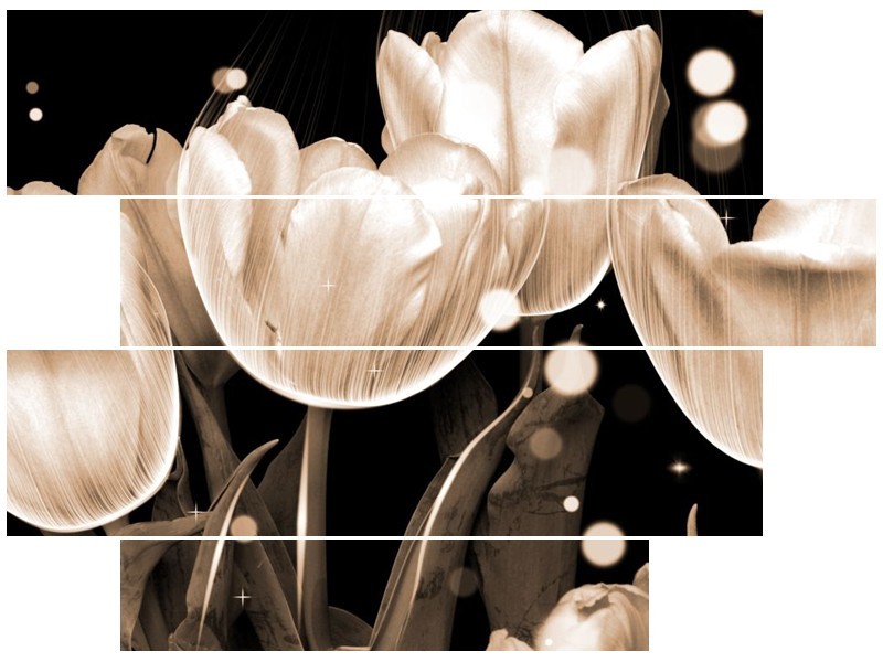 Glas schilderij Tulp | Wit, Grijs | 115x85cm 4Luik