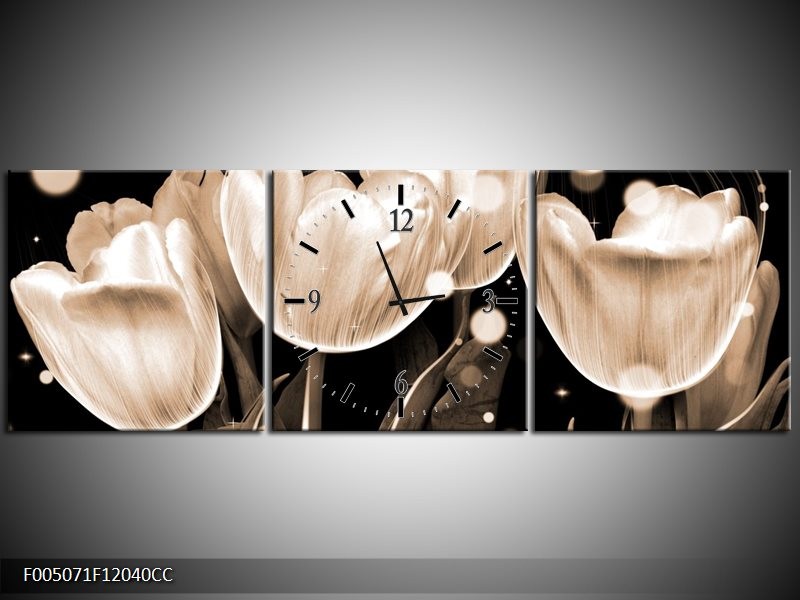 Klok schilderij Tulp | Wit, Grijs | 120x40cm 3Luik