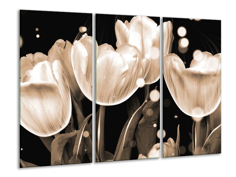 Canvas schilderij Tulp | Wit, Grijs | 120x80cm 3Luik