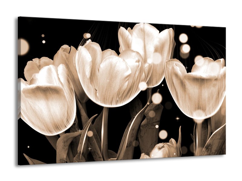 Glas schilderij Tulp | Wit, Grijs | 140x90cm 1Luik