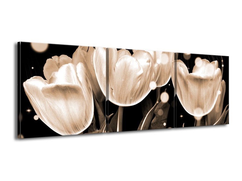 Glas schilderij Tulp | Wit, Grijs | 150x50cm 3Luik