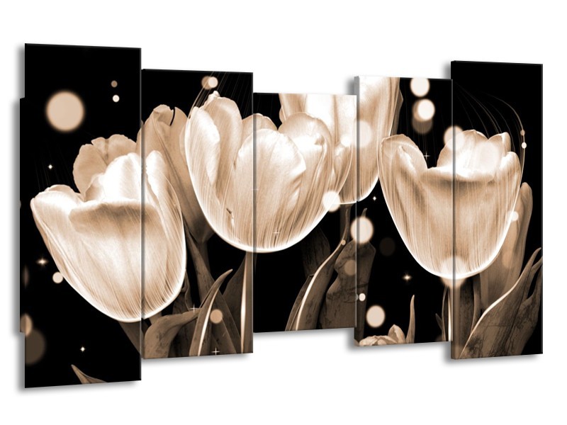 Canvas schilderij Tulp | Wit, Grijs | 150x80cm 5Luik