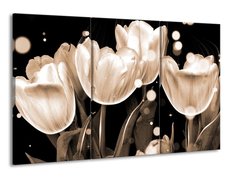 Glas schilderij Tulp | Wit, Grijs | 165x100cm 3Luik