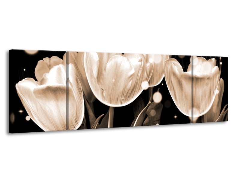 Canvas schilderij Tulp | Wit, Grijs | 170x50cm 3Luik