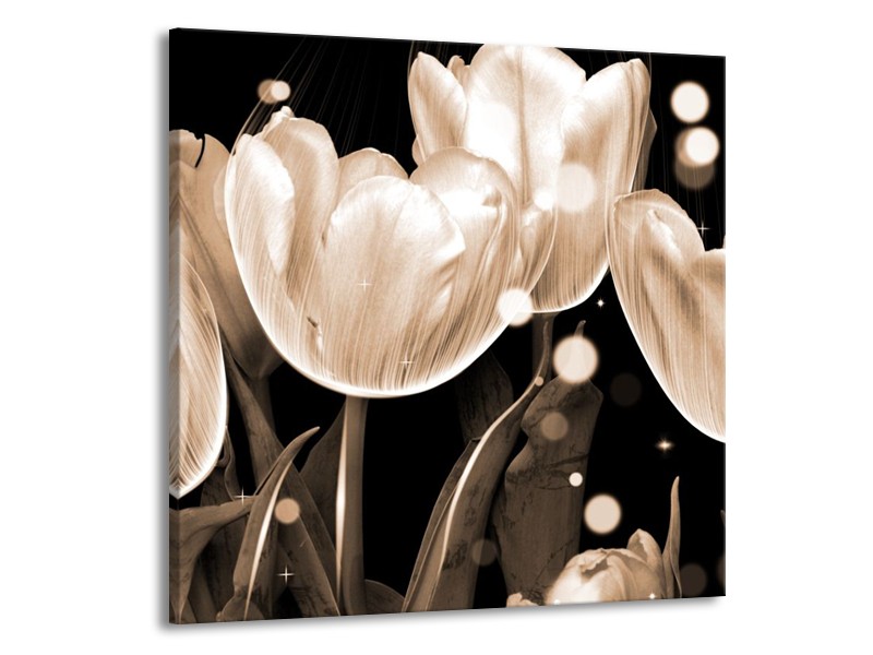 Glas schilderij Tulp | Wit, Grijs | 50x50cm 1Luik
