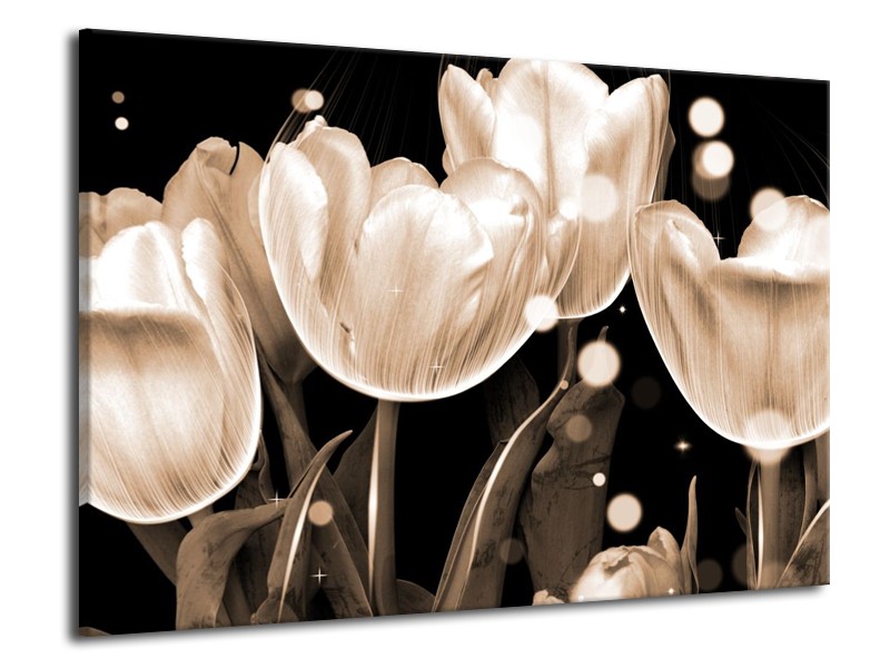 Glas schilderij Tulp | Wit, Grijs | 70x50cm 1Luik