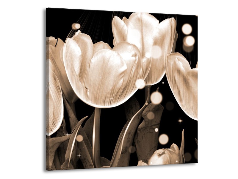 Canvas schilderij Tulp | Wit, Grijs | 70x70cm 1Luik