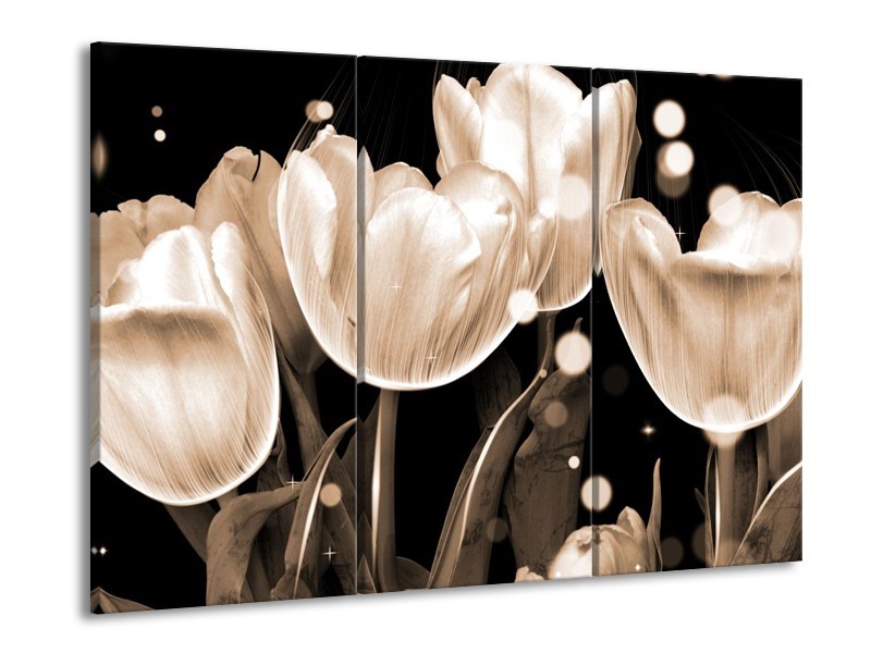 Glas schilderij Tulp | Wit, Grijs | 90x60cm 3Luik