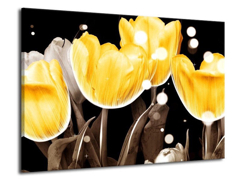 Canvas schilderij Tulp | Geel, Grijs | 70x50cm 1Luik