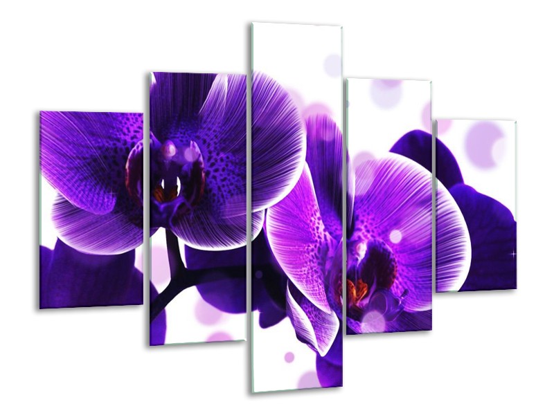 Canvas schilderij Orchidee | Blauw, Wit | 100x70cm 5Luik