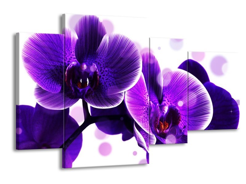 Canvas schilderij Orchidee | Blauw, Wit | 120x75cm 4Luik
