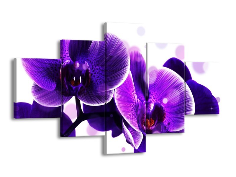 Canvas schilderij Orchidee | Blauw, Wit | 125x70cm 5Luik