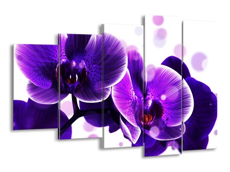 Canvas schilderij Orchidee | Blauw, Wit | 150x100cm 5Luik