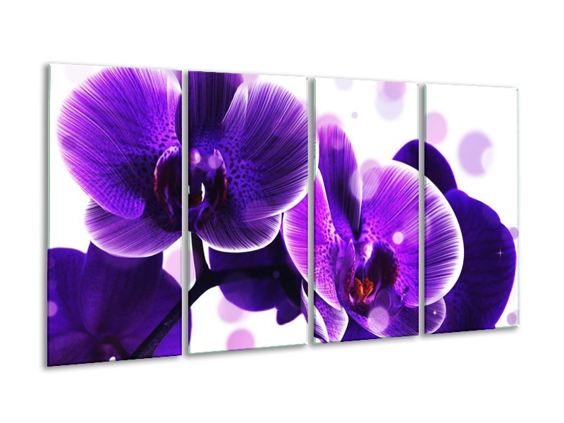 Canvas schilderij Orchidee | Blauw, Wit | 160x80cm 4Luik