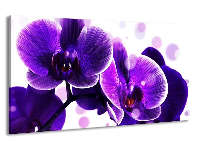 Canvas schilderij Orchidee | Blauw, Wit | 190x100cm 1Luik
