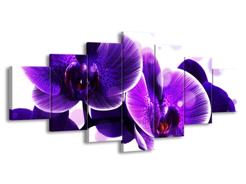 Canvas schilderij Orchidee | Blauw, Wit | 210x100cm 7Luik