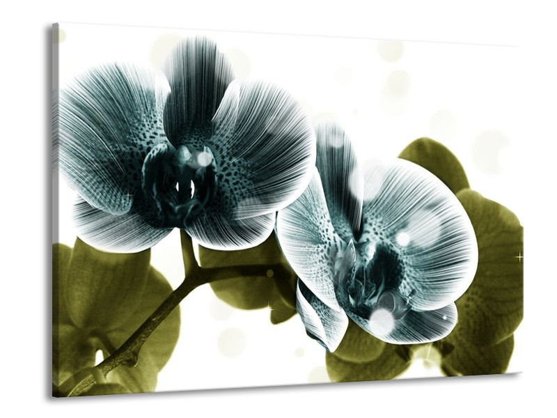 Canvas schilderij Orchidee | Blauw, Groen | 100x70cm 1Luik