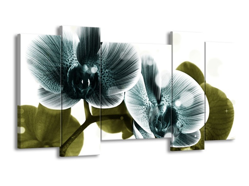 Canvas schilderij Orchidee | Blauw, Groen | 120x65 5Luik