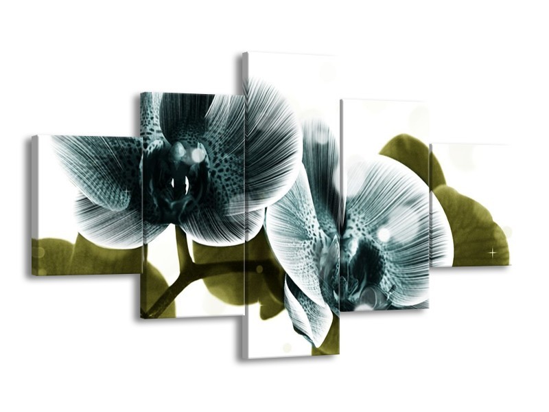 Canvas schilderij Orchidee | Blauw, Groen | 125x70cm 5Luik